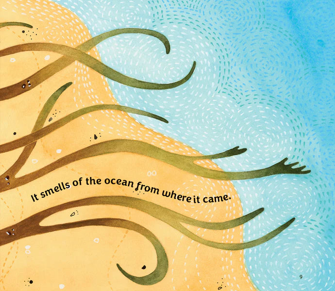 In the Kelp Forest
